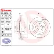 BREMBO 08.C250.10 - Jeu de 2 disques de frein arrière