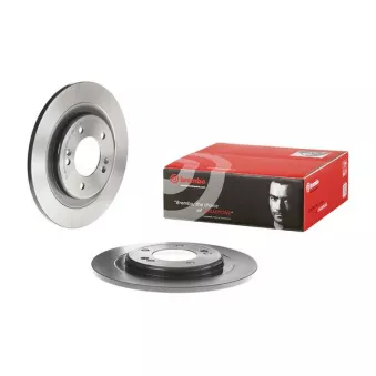 Jeu de 2 disques de frein arrière BREMBO 08.C250.21