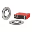 BREMBO 08.C539.11 - Jeu de 2 disques de frein arrière