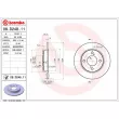BREMBO 08.D248.11 - Jeu de 2 disques de frein arrière