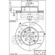 BREMBO 09.3095.10 - Jeu de 2 disques de frein avant