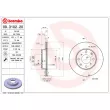 BREMBO 09.3102.20 - Jeu de 2 disques de frein avant