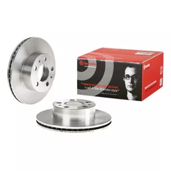 Jeu de 2 disques de frein arrière BREMBO OEM 12281531