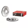 BREMBO 09.4883.10 - Jeu de 2 disques de frein avant