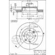 BREMBO 09.4925.20 - Jeu de 2 disques de frein avant