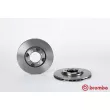 BREMBO 09.5219.10 - Jeu de 2 disques de frein avant