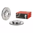 BREMBO 09.5254.10 - Jeu de 2 disques de frein avant
