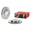 BREMBO 09.5282.10 - Jeu de 2 disques de frein avant