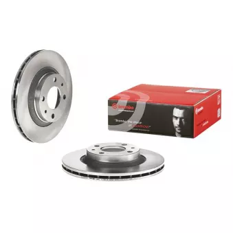 Jeu de 2 disques de frein avant BREMBO OEM SE021165002A