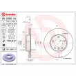 BREMBO 09.5390.31 - Jeu de 2 disques de frein avant