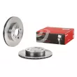 BREMBO 09.5536.20 - Jeu de 2 disques de frein avant