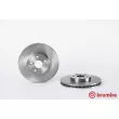 BREMBO 09.5622.10 - Jeu de 2 disques de frein avant