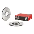 Jeu de 2 disques de frein avant BREMBO [09.5632.10]