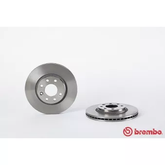 Jeu de 2 disques de frein avant BREMBO OEM 34557199