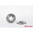 Jeu de 2 disques de frein avant BREMBO [09.5947.10]
