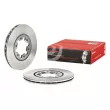 BREMBO 09.5957.10 - Jeu de 2 disques de frein avant