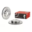BREMBO 09.6706.10 - Jeu de 2 disques de frein avant