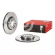 BREMBO 09.6769.10 - Jeu de 2 disques de frein avant