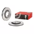 BREMBO 09.6866.20 - Jeu de 2 disques de frein avant