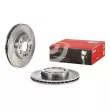 Jeu de 2 disques de frein avant BREMBO [09.6907.10]