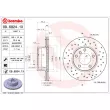 BREMBO 09.6924.1X - Jeu de 2 disques de frein avant