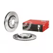 Jeu de 2 disques de frein avant BREMBO [09.7012.14]