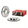 BREMBO 09.7195.10 - Jeu de 2 disques de frein avant