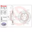 BREMBO 09.7702.1X - Jeu de 2 disques de frein arrière