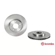 BREMBO 09.7731.10 - Jeu de 2 disques de frein avant