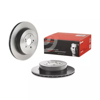 Jeu de 2 disques de frein arrière BREMBO OEM 26700FE000
