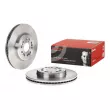 Jeu de 2 disques de frein avant BREMBO [09.8315.10]