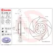 BREMBO 09.8780.21 - Jeu de 2 disques de frein avant