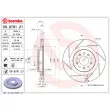 BREMBO 09.8781.21 - Jeu de 2 disques de frein arrière