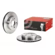 Jeu de 2 disques de frein avant BREMBO [09.8852.10]