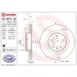 BREMBO 09.8875.31 - Jeu de 2 disques de frein avant