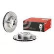 BREMBO 09.8955.10 - Jeu de 2 disques de frein avant