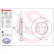 BREMBO 09.8977.10 - Jeu de 2 disques de frein avant