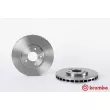 BREMBO 09.9129.10 - Jeu de 2 disques de frein avant