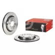 BREMBO 09.9505.10 - Jeu de 2 disques de frein arrière