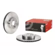 BREMBO 09.9559.14 - Jeu de 2 disques de frein avant