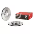 BREMBO 09.9589.14 - Jeu de 2 disques de frein avant