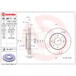 BREMBO 09.9617.11 - Jeu de 2 disques de frein avant