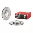 BREMBO 09.9631.34 - Jeu de 2 disques de frein avant