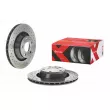 BREMBO 09.9768.1X - Jeu de 2 disques de frein arrière