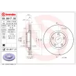 BREMBO 09.9817.31 - Jeu de 2 disques de frein avant