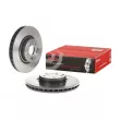 Jeu de 2 disques de frein avant BREMBO [09.9825.21]