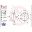 BREMBO 09.9869.81 - Jeu de 2 disques de frein arrière