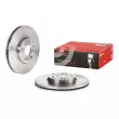 Jeu de 2 disques de frein avant BREMBO [09.A272.10]