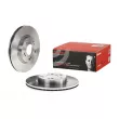 Jeu de 2 disques de frein avant BREMBO [09.A455.14]