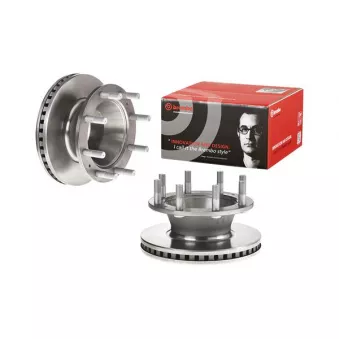Jeu de 2 disques de frein arrière BREMBO OEM 2992636